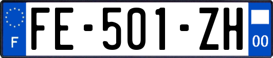 FE-501-ZH