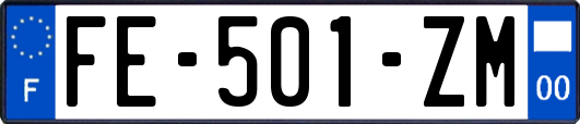 FE-501-ZM