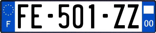 FE-501-ZZ