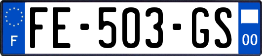 FE-503-GS