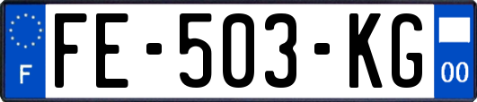 FE-503-KG