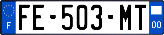FE-503-MT