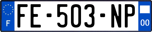 FE-503-NP