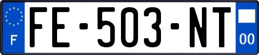 FE-503-NT