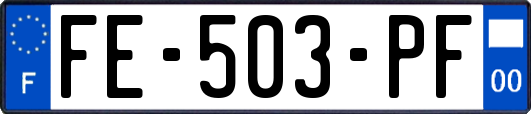 FE-503-PF