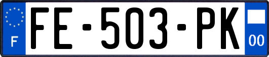 FE-503-PK