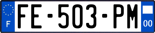 FE-503-PM