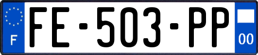 FE-503-PP