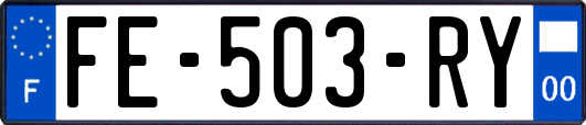 FE-503-RY