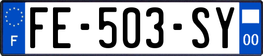 FE-503-SY