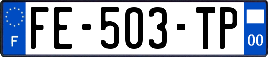 FE-503-TP