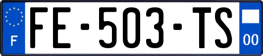 FE-503-TS
