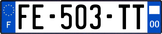 FE-503-TT