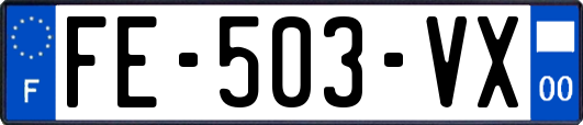 FE-503-VX