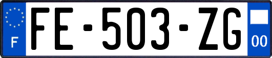 FE-503-ZG