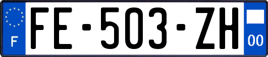 FE-503-ZH