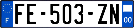 FE-503-ZN