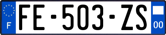 FE-503-ZS