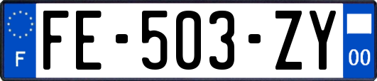 FE-503-ZY