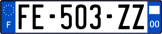 FE-503-ZZ