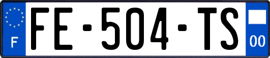 FE-504-TS