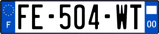 FE-504-WT