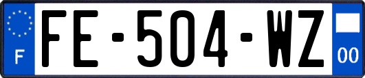 FE-504-WZ