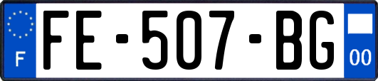 FE-507-BG