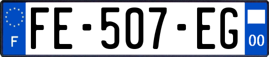 FE-507-EG