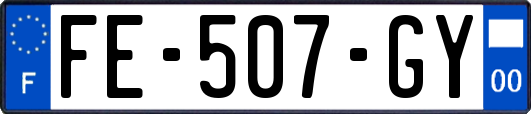FE-507-GY