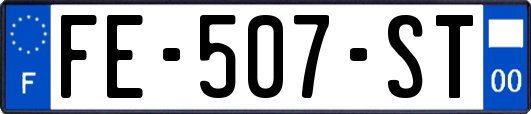 FE-507-ST