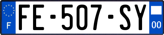 FE-507-SY