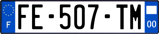 FE-507-TM