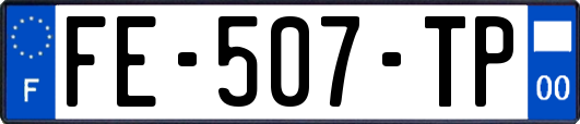 FE-507-TP