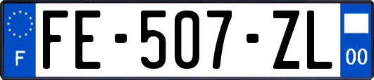 FE-507-ZL