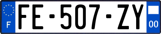 FE-507-ZY