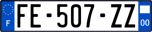 FE-507-ZZ