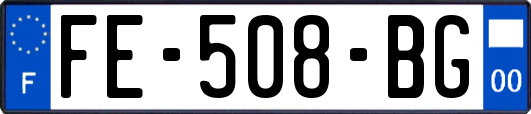 FE-508-BG