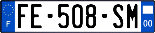FE-508-SM