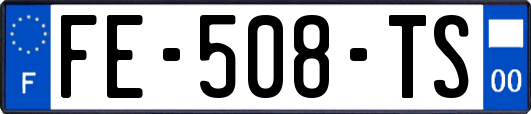 FE-508-TS