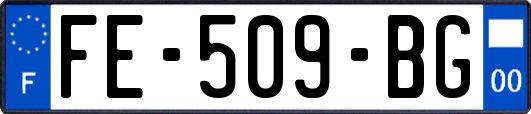 FE-509-BG