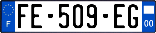 FE-509-EG