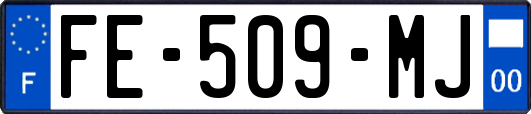 FE-509-MJ