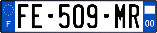 FE-509-MR