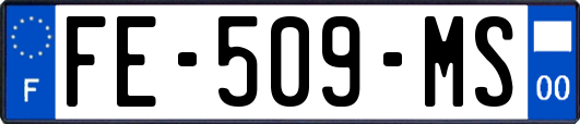 FE-509-MS