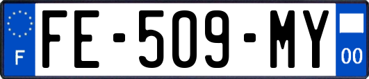 FE-509-MY