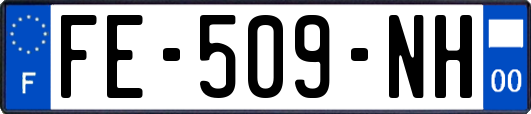 FE-509-NH