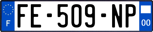 FE-509-NP