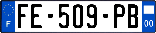 FE-509-PB