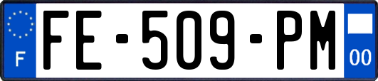 FE-509-PM